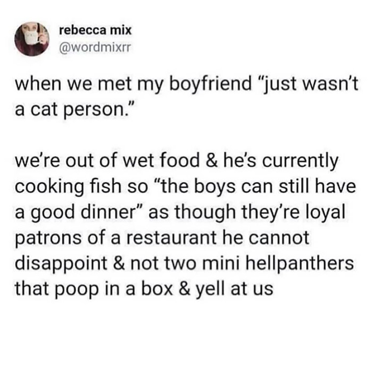 new sentence