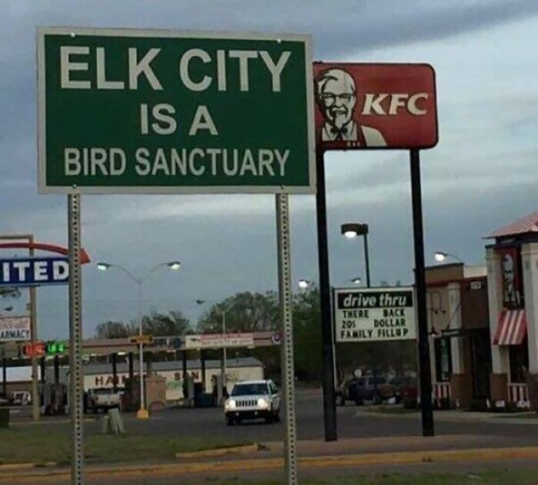 accidental comedy