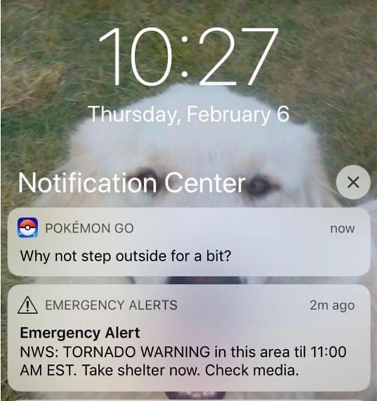 accidental comedy