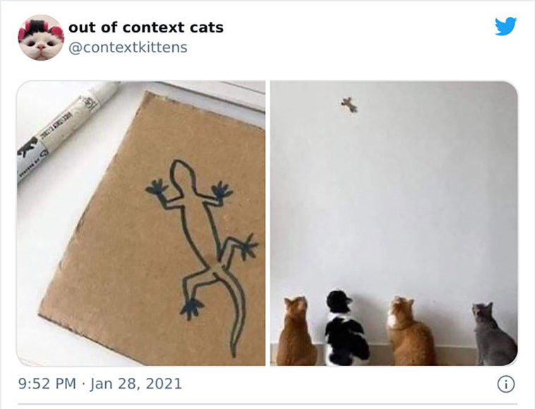 hilarious cats