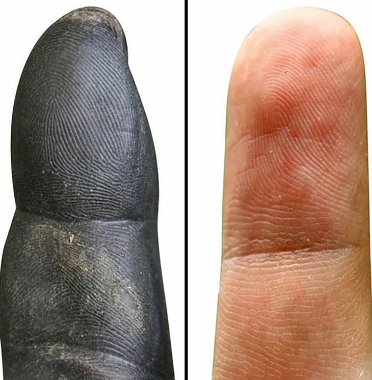 comparison images
