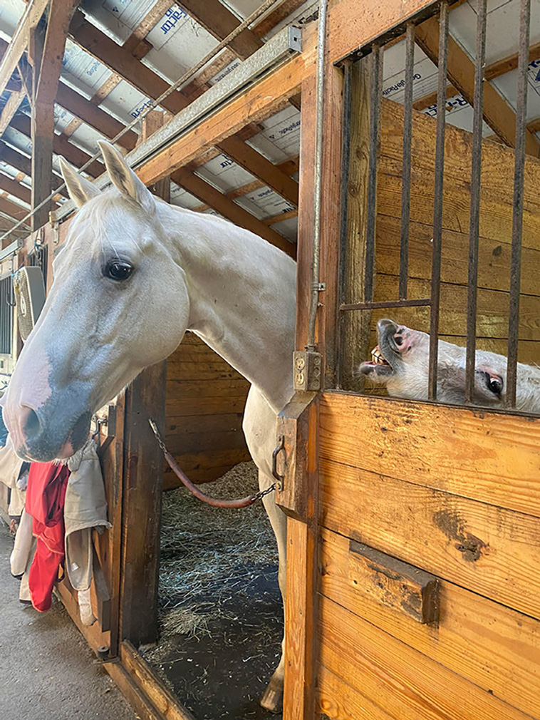 photobombs