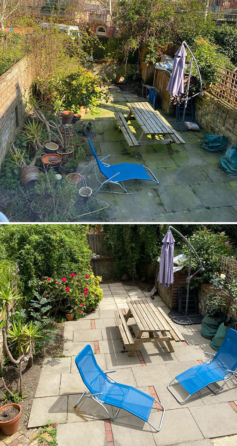 backyard