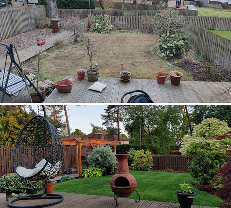 backyard