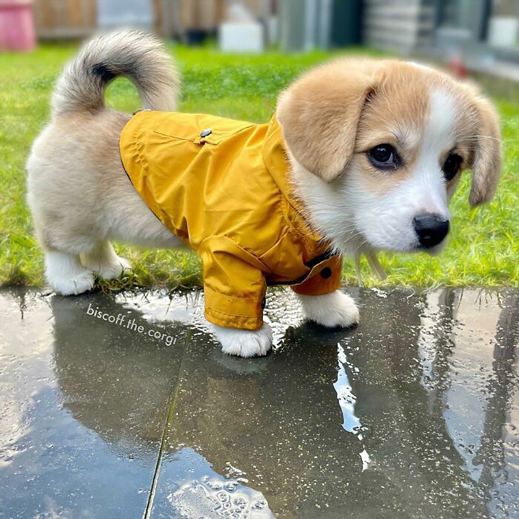 blessed pics