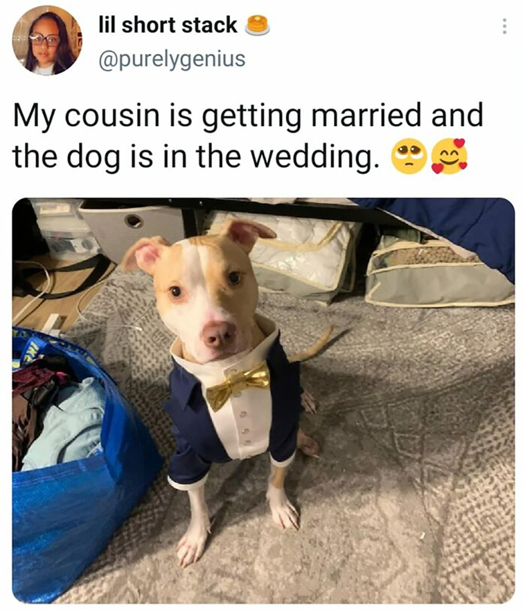 blessed pics
