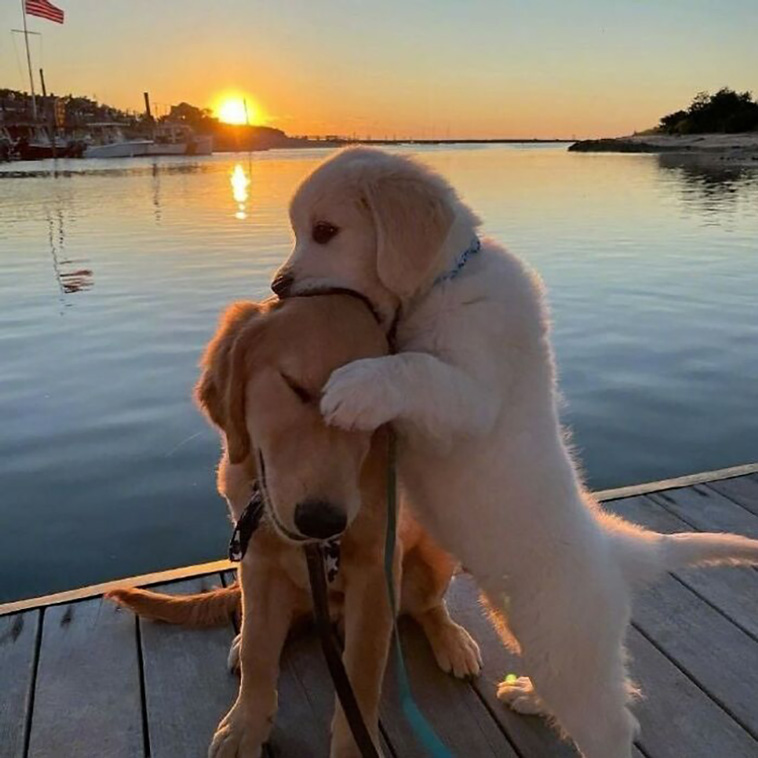 blessed pics
