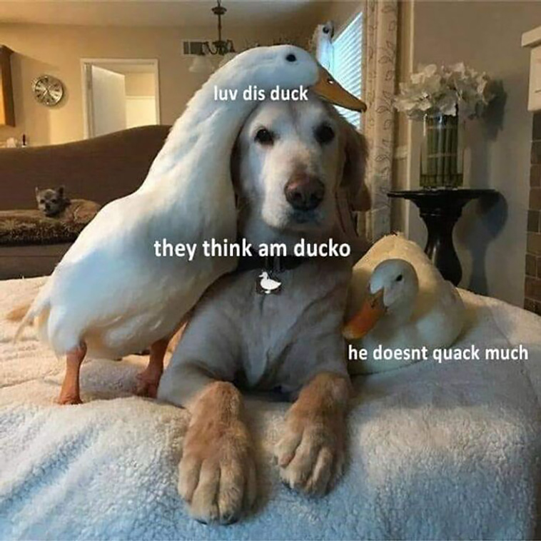 blessed pics