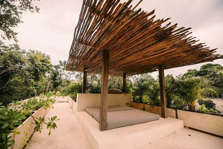casa areca