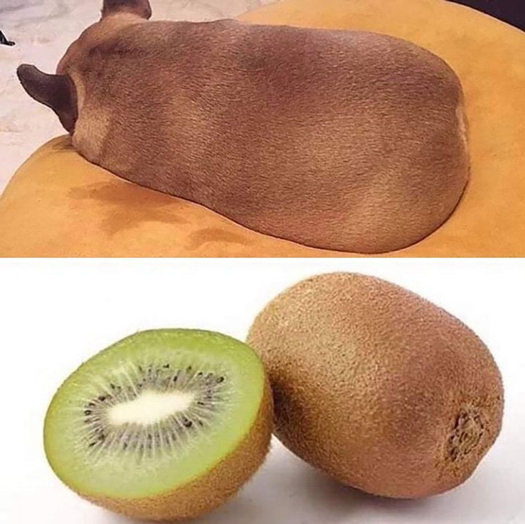 delicious food