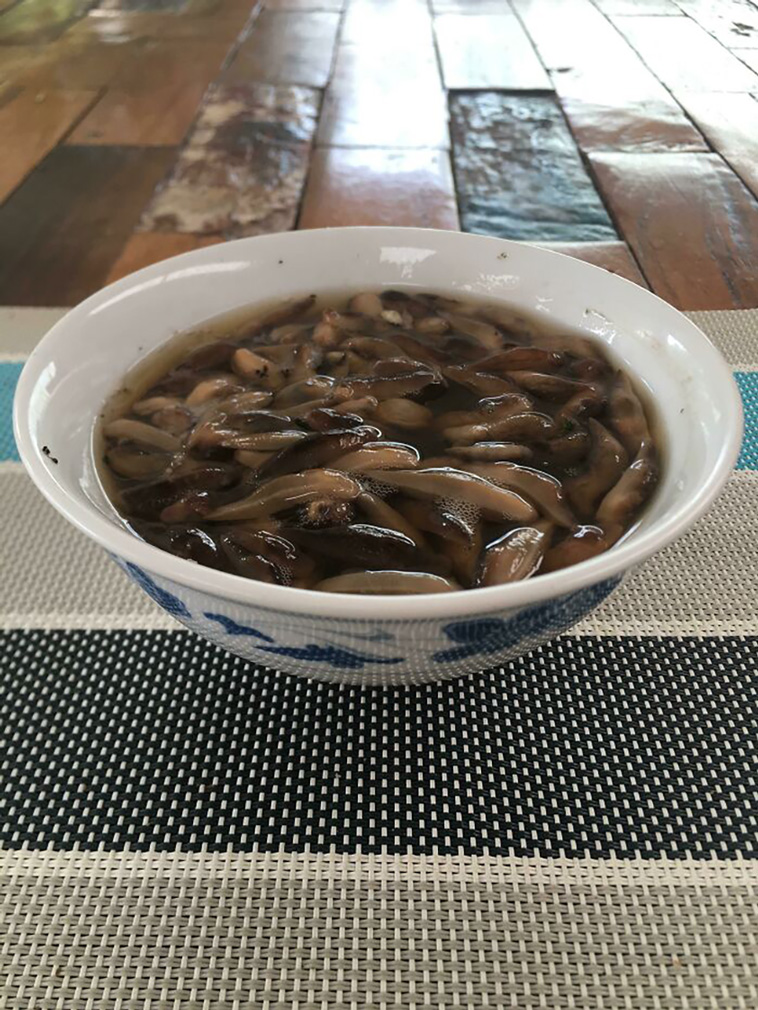 delicious food