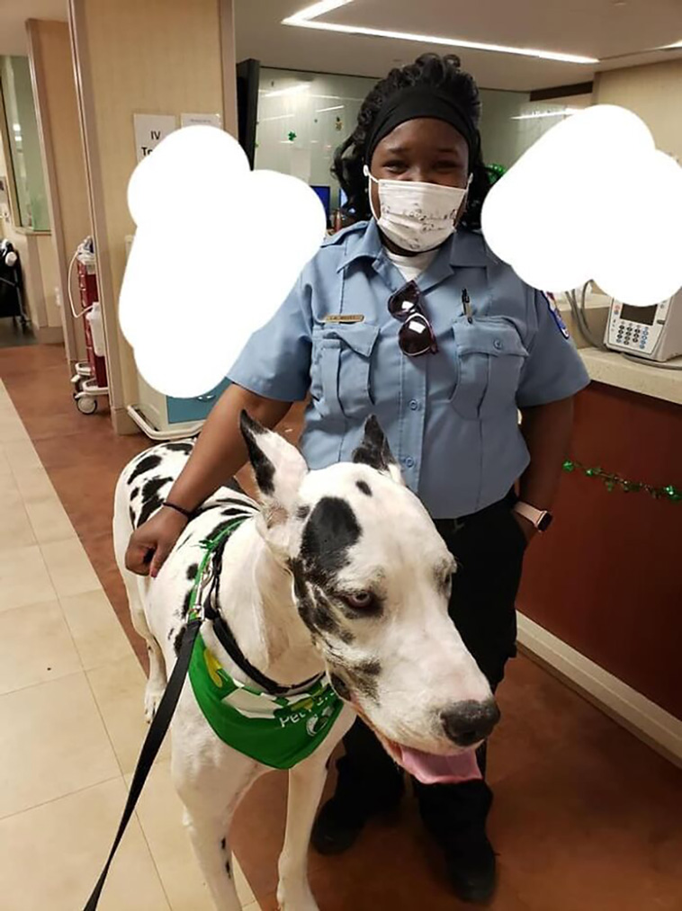 dogspotting