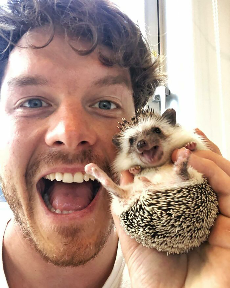 hedgehogs