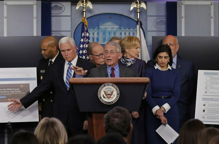 accidental renaissance