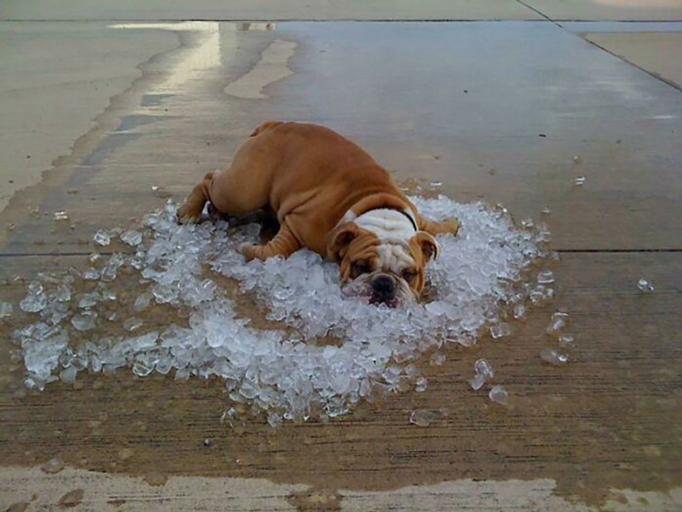 summer heatwaves