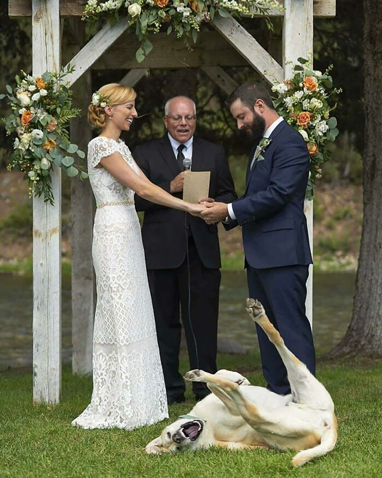 weddings