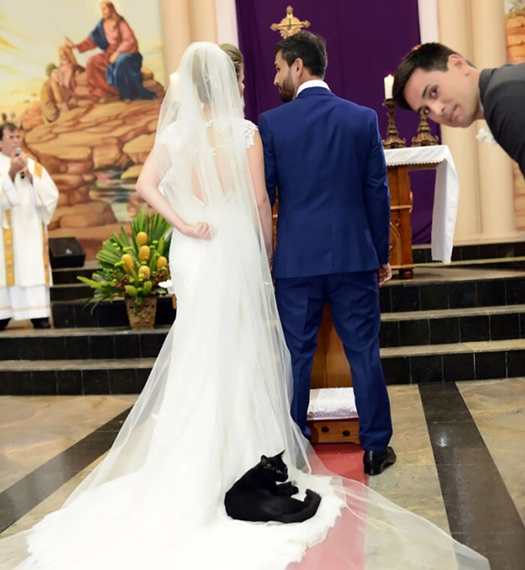 weddings