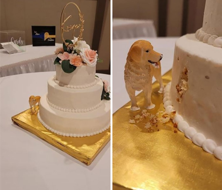 weddings