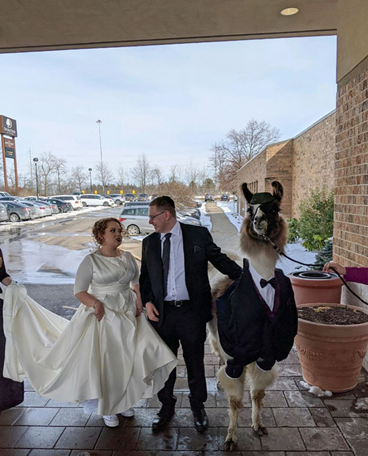 weddings