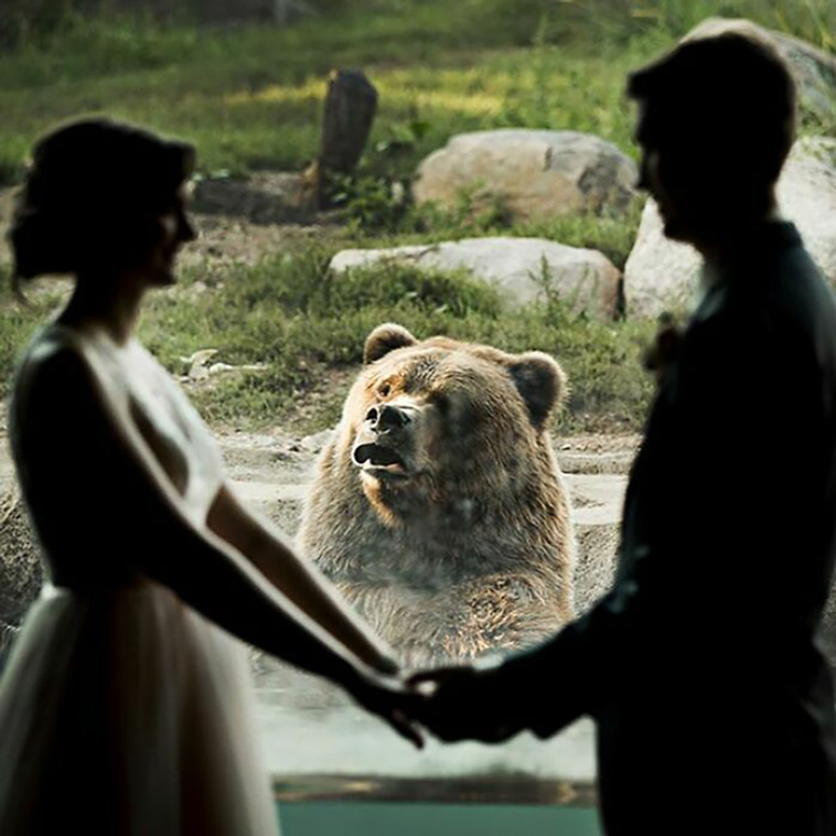 weddings