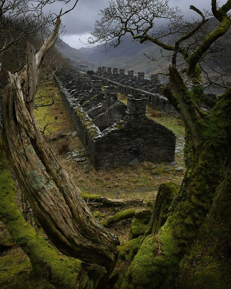 abandoned beauties
