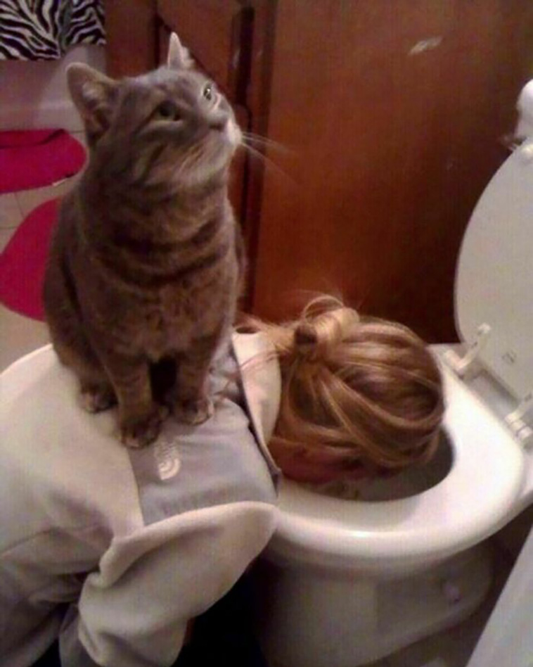 animal pics