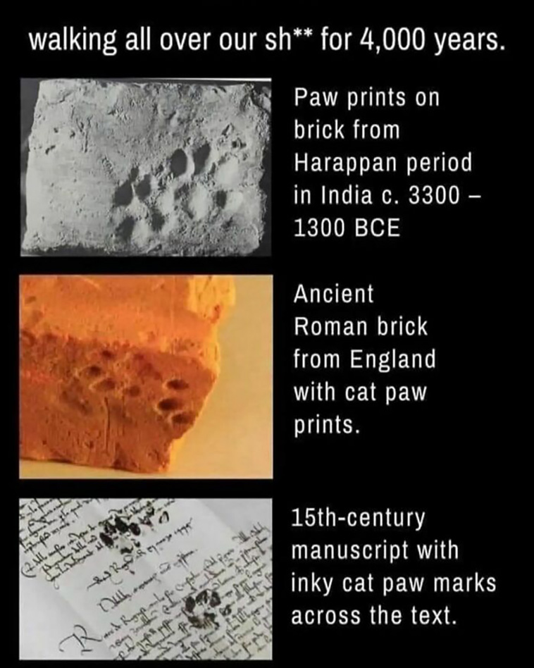 science jokes