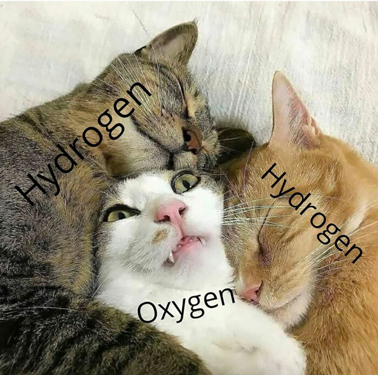 science jokes