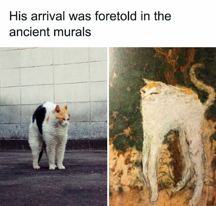 cat posts