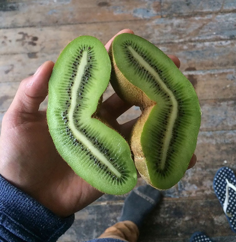 food lottery