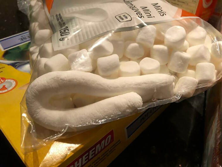 food lottery