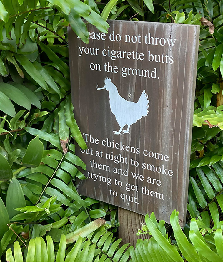 funny signs