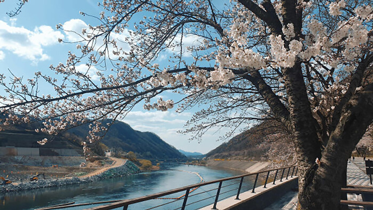 south korea