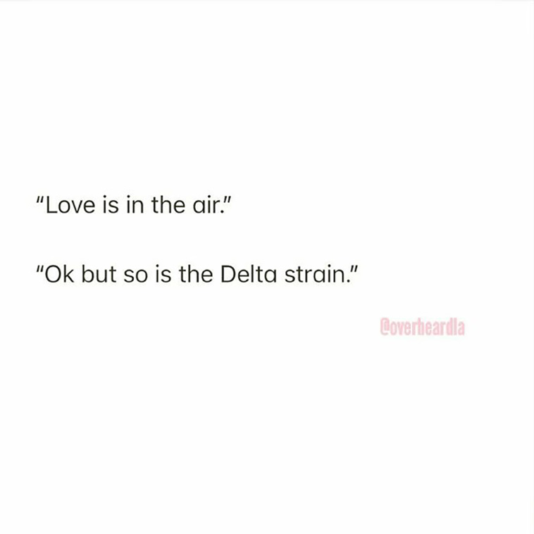 overheard in L.A.