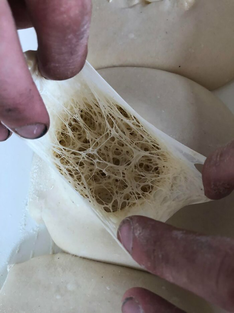 trypophobia
