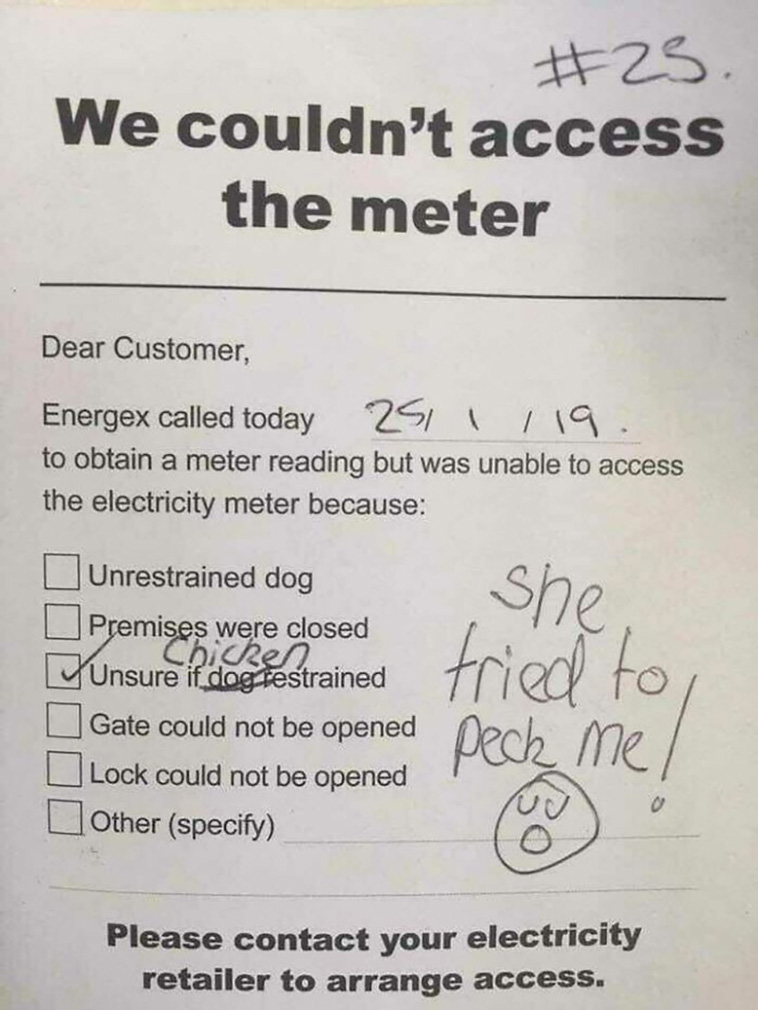 hilarious things