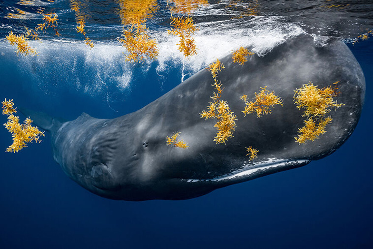 ocean photography
