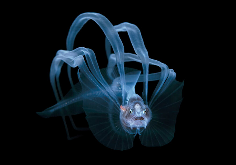 ocean photography
