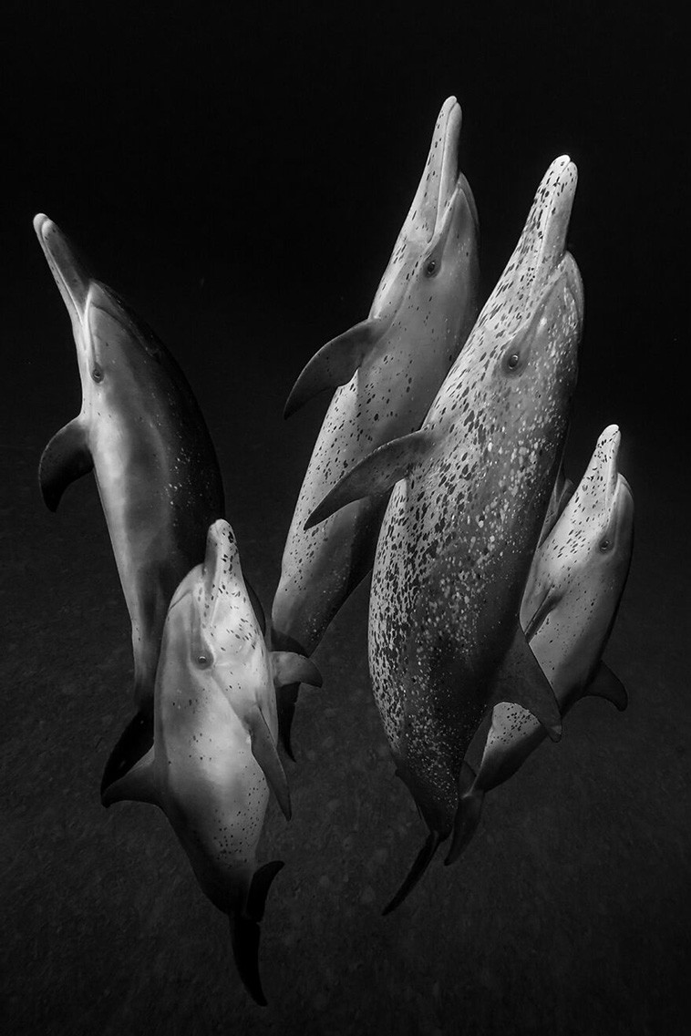 ocean photography