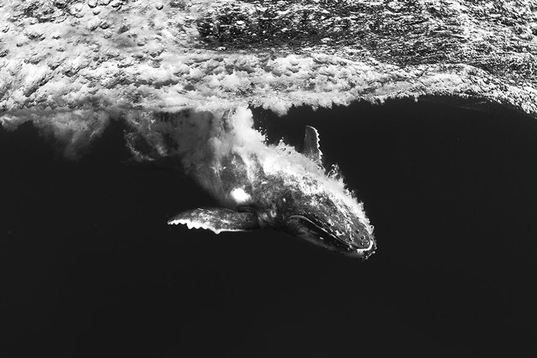 ocean photography