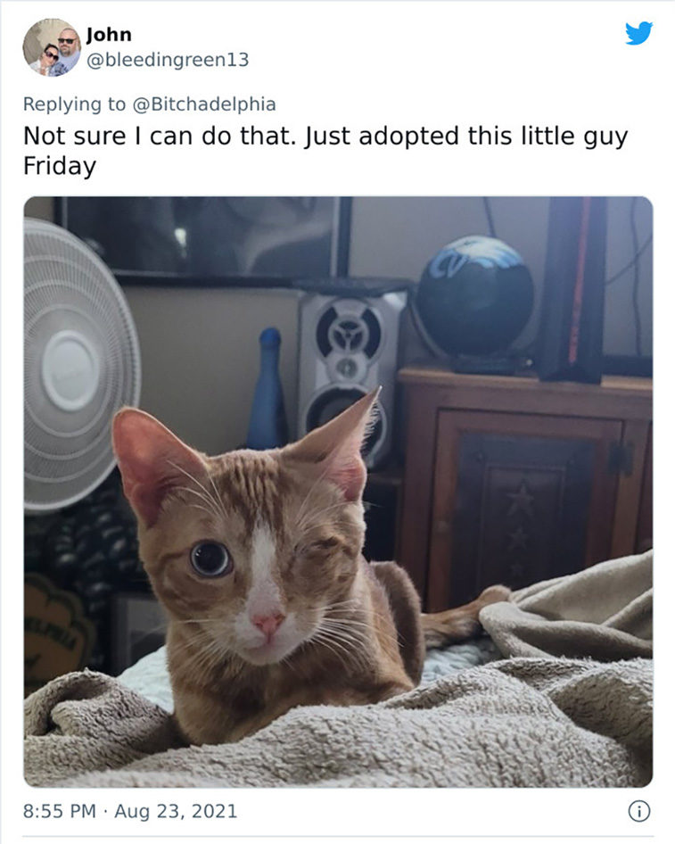 rescued pets