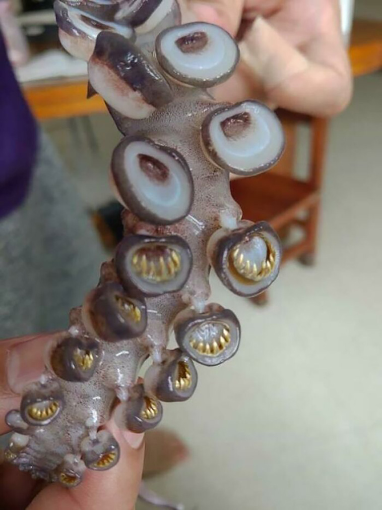 creepy things