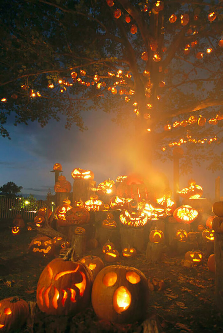 halloween