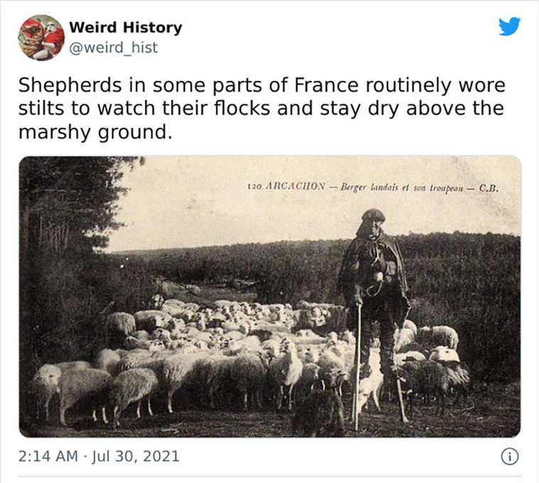 weird history
