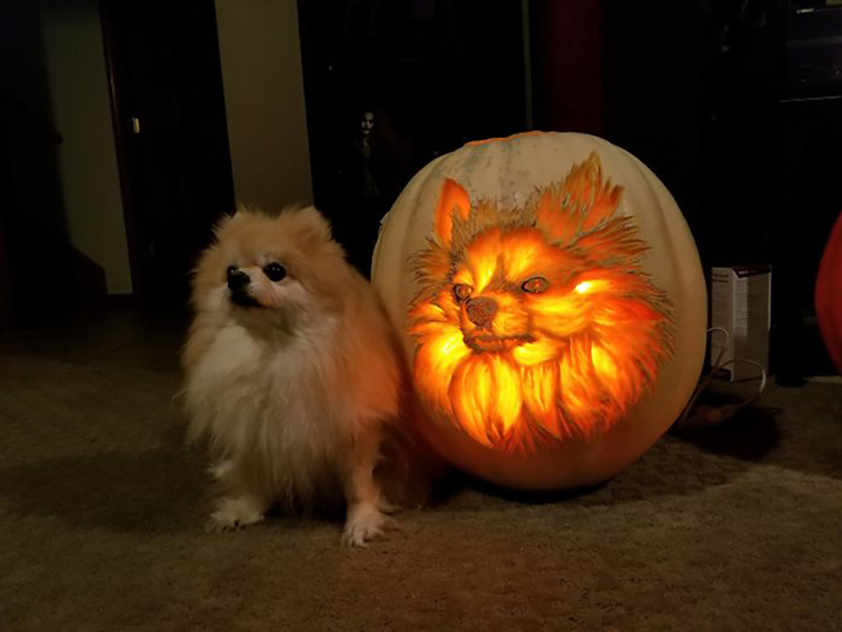 halloween pumpkins