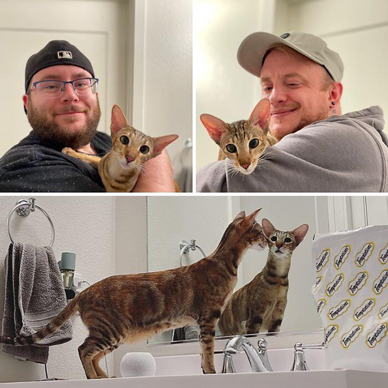 rescued pets
