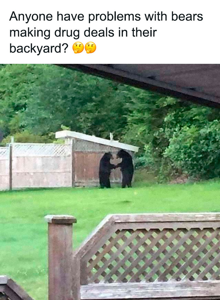 normal in russia