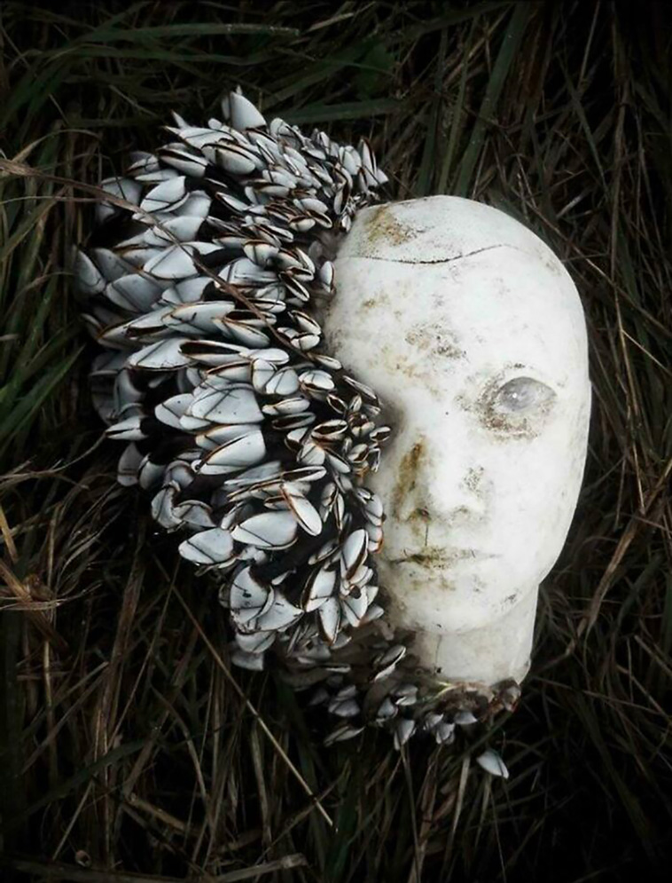 surreal things