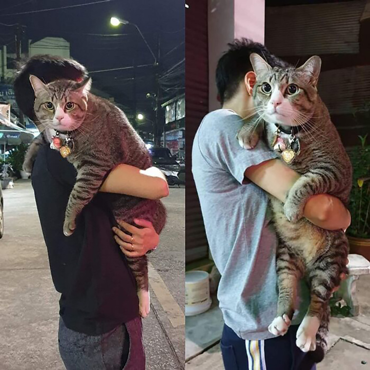absolute unit