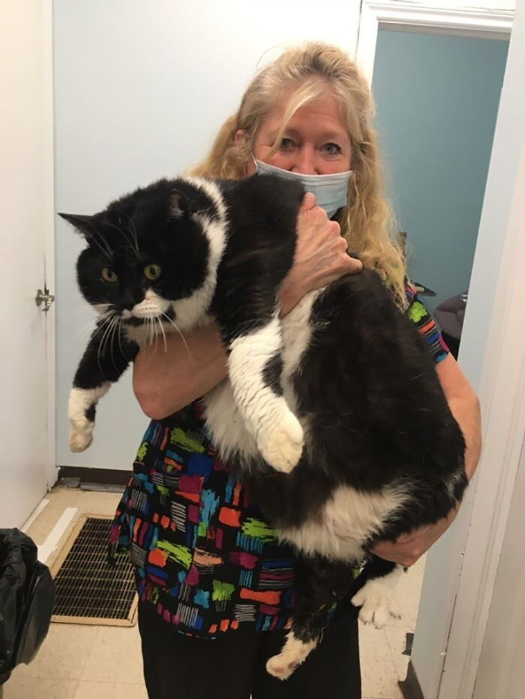 absolute unit
